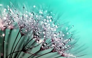 PowerPoint and Presenting News: June 6, 2017