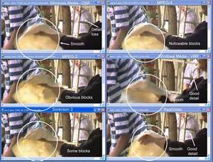 Codec quality at 1.5 mbps