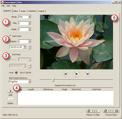Main Interface Main Interface