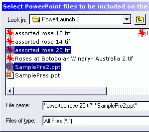 Select PowerPoint Files Select PowerPoint Files