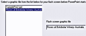 Choose a flash graphic Choose a flash graphic