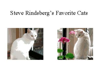 Pictures merged in PowerPoint using PPT Merge Pictures merged in PowerPoint using PPT Merge