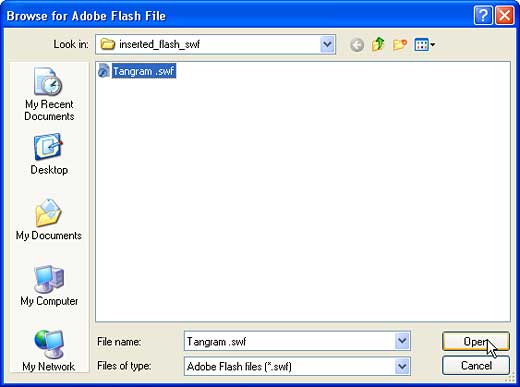 Browse for Adobe Flash File