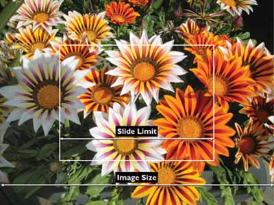 If not correctly resized, digital images will be significantly larger than the size of your PowerPoint slide If not correctly resized, digital images will be significantly larger than the size of your PowerPoint slide