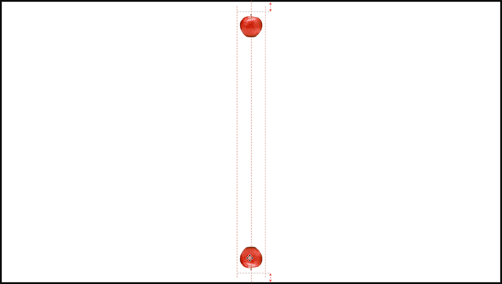 Twin apples at opposite ends
