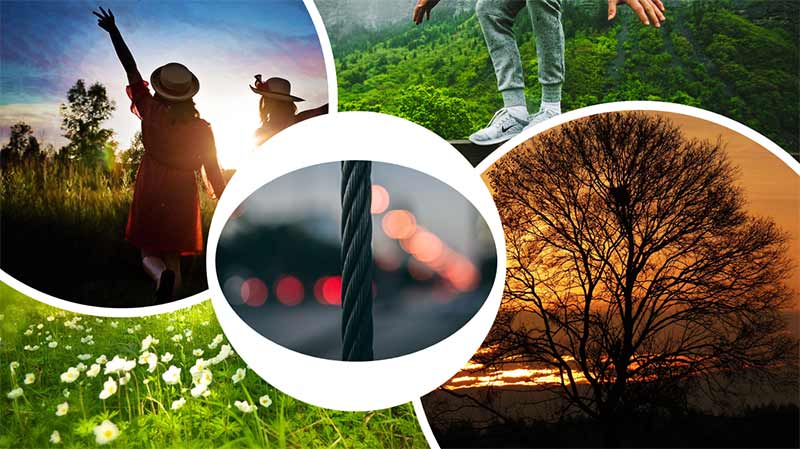 Changed picture is squished