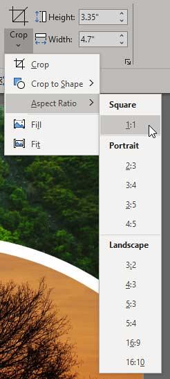 Choose 1:1 for the Aspect Ratio