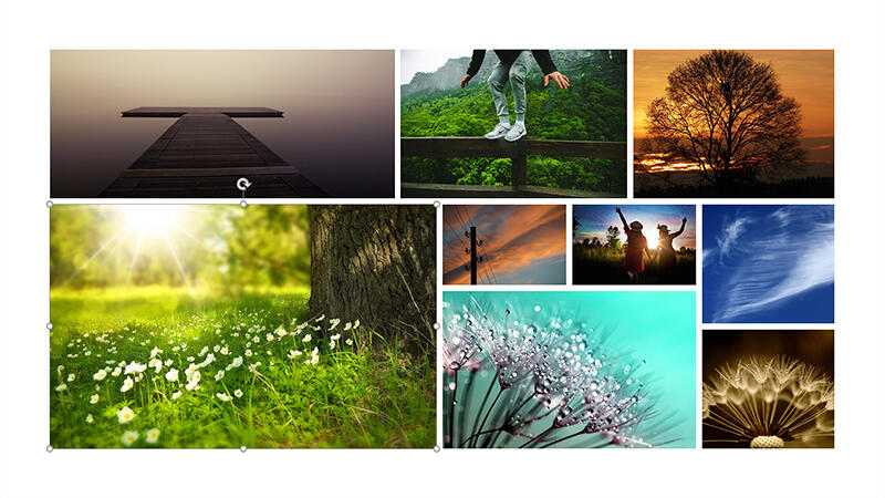 Selected rectangle shape