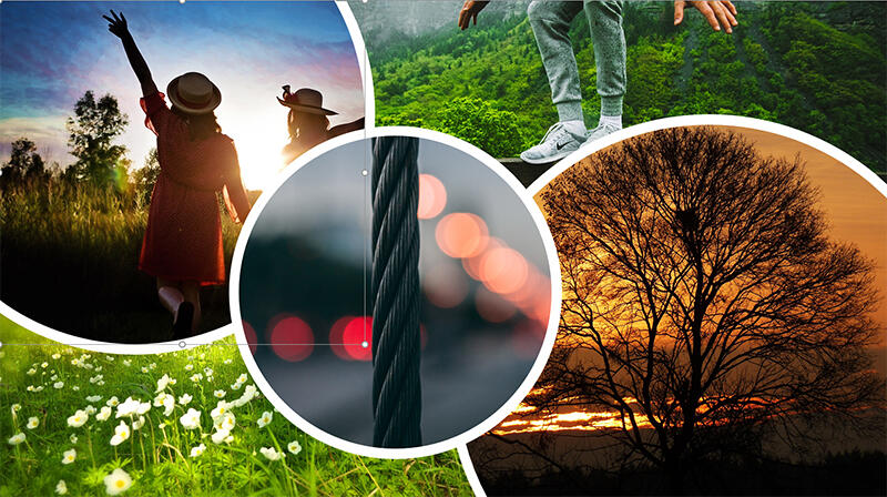 Selected irregular shape