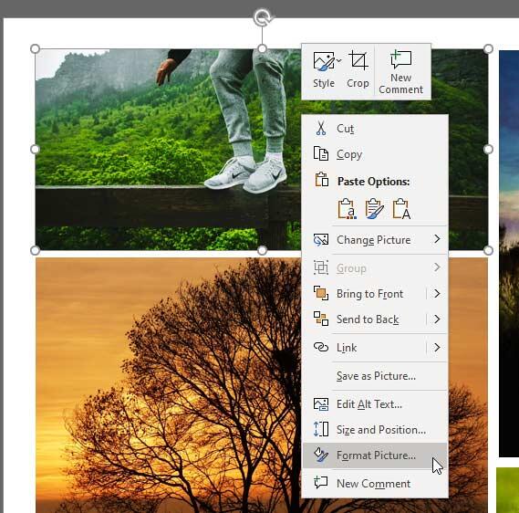 Format Picture option