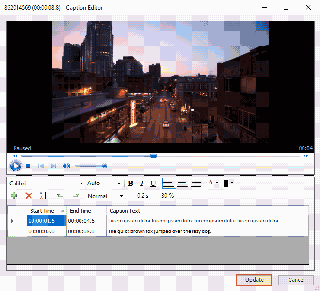 Caption Editor window