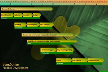 Product Development Timeline in PowerPoint 365 for Windows