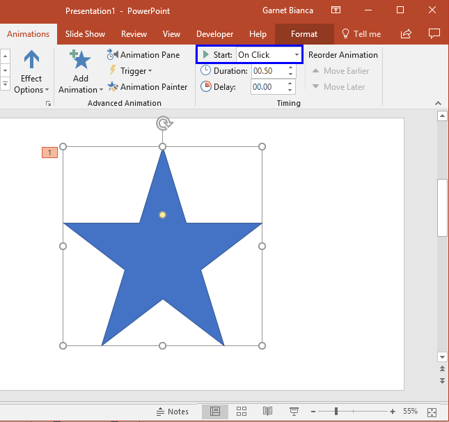 Start box within the Animations tab