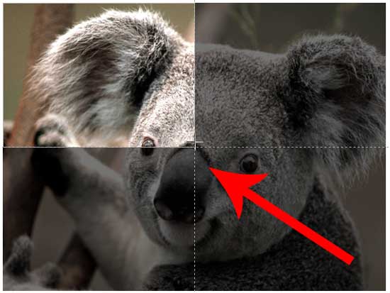 Picture being croped