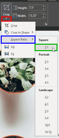 Select an aspect ratio for cropping