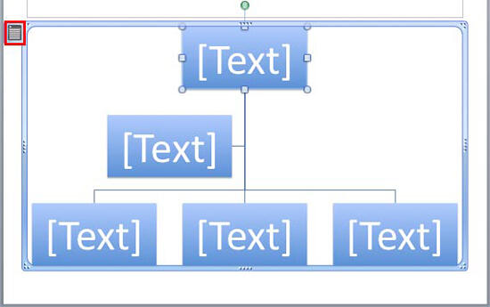 Selected Organization Chart placed on the slide