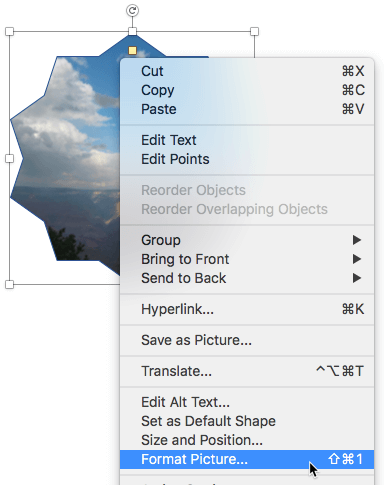 Format Picture option Format Picture option