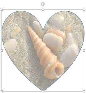 Transparency applied to a picture fill Transparency applied to a picture fill