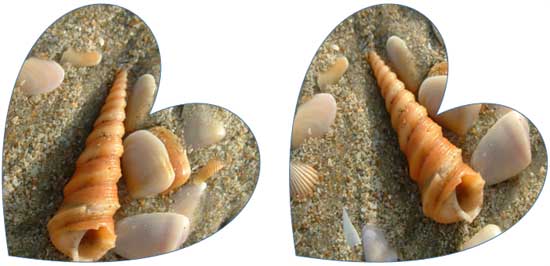 Two identical shapes show different results when rotated Two identical shapes show different results when rotated