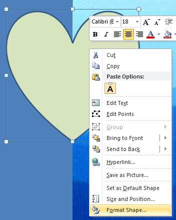 Fomat Picture option selected Fomat Picture option selected