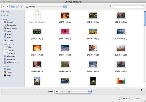 Choose a Picture dialog box Choose a Picture dialog box