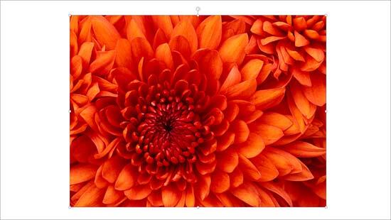 Picture inserted on slide