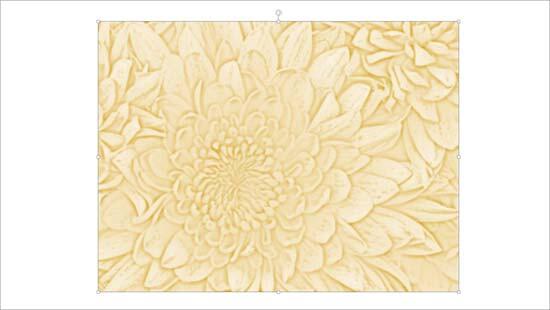 Picture with adjustments made