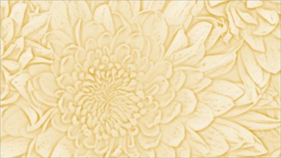 Picture pasted as background picture