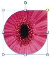 Shape with picture fill