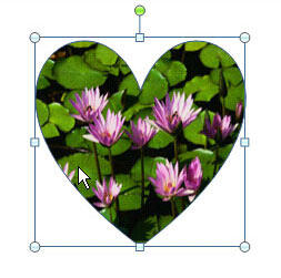 Shape with picture fill