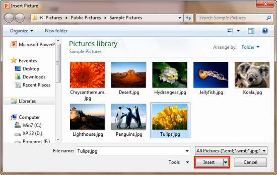 Insert Picture dialog box