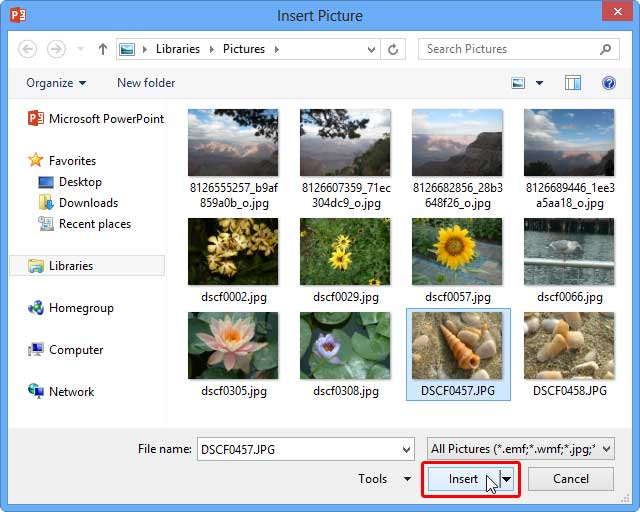 Insert Picture dialog box