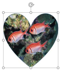 Shape with picture fill