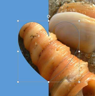 Shape with Slide background fill