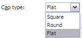 Cap type