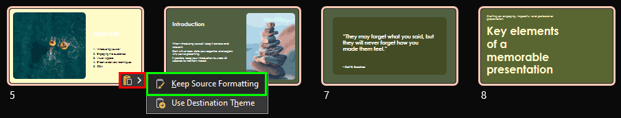 Keep Source Formatting icon