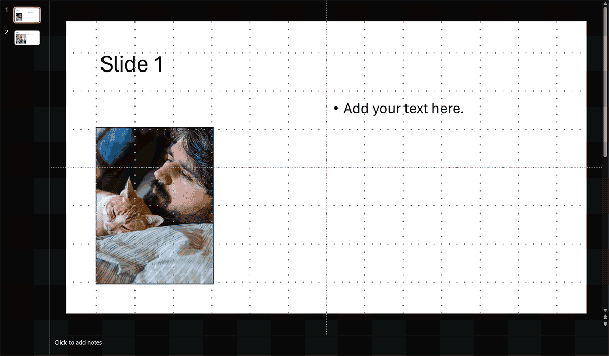 Rectangle with a picture fill on first slide