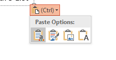 Paste Options button Paste Options button
