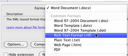Rich Text Format option selected