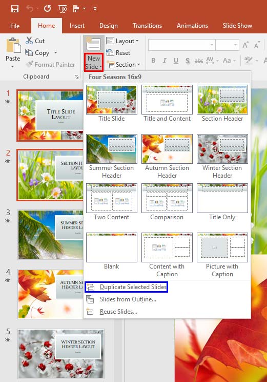 Duplicate Selected Slides option Duplicate Selected Slides option