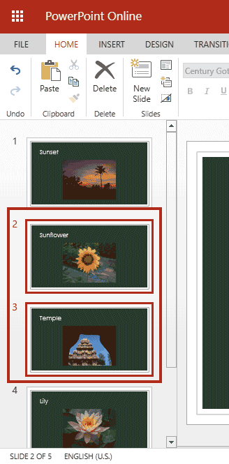 Slides to be duplicated selected within the Slides Pane