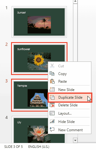 Duplicate Slide option within the right-click contextual menu