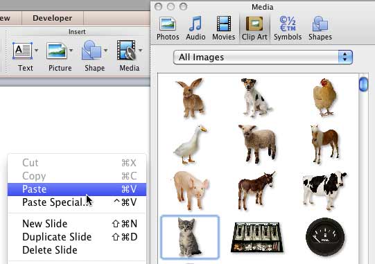 Paste the clip art on your slide Paste the clip art on your slide