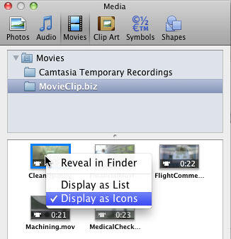 Display options for Preview Pane in the Movies tab Display options for Preview Pane in the Movies tab