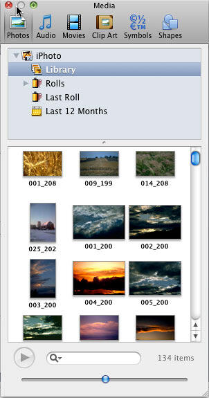 Photos tab within Media Browser