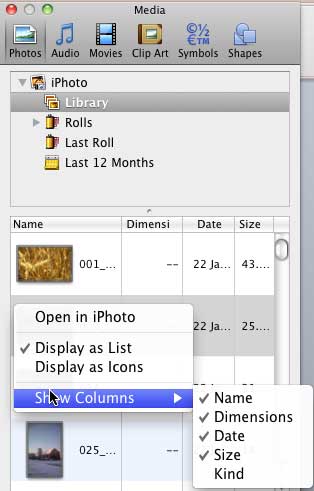 Show Columns submenu