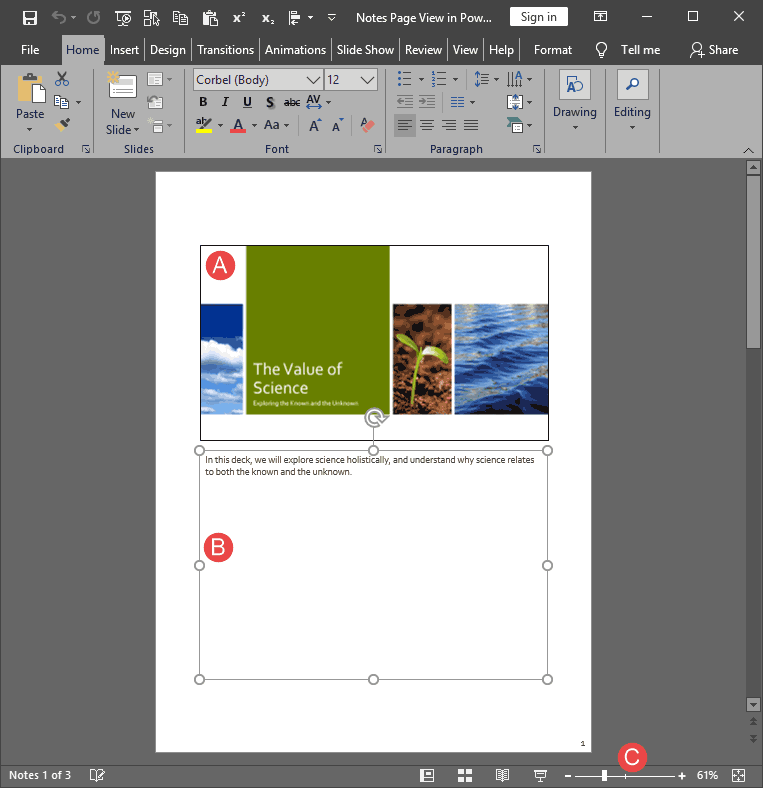Notes Page view in PowerPoint 2019