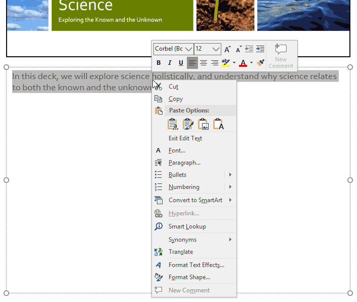 Format your text using the Mini Toolbar