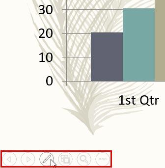 Navigation icons in Slide Show View
