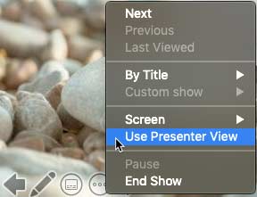 Use Presenter View option Use Presenter View option